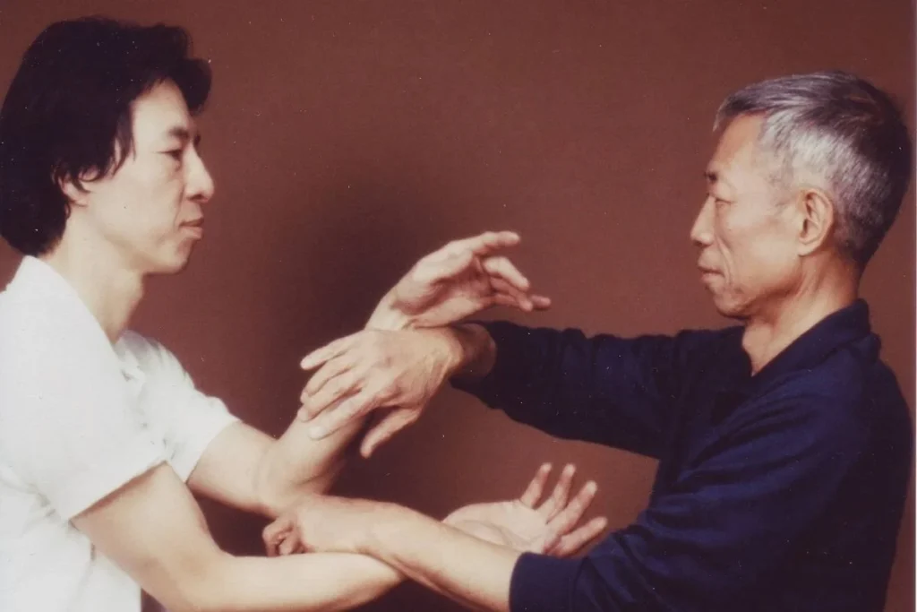 The-principals-of-Wing-Chun