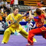 wushu-open