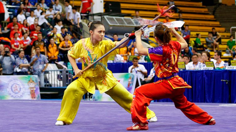 wushu-open